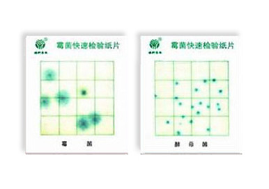 霉菌、酵母菌測(cè)試片